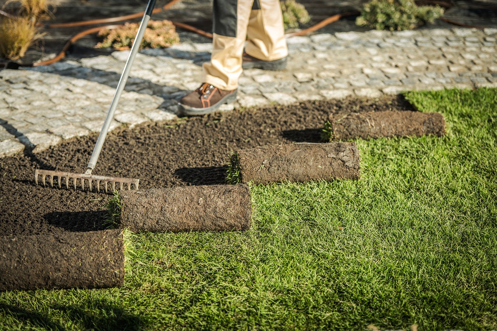 Replacing Natural Grass Turfs